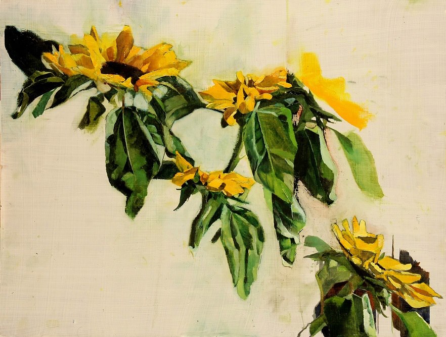 A splash of sunshine. Flower painting by Aine Divine