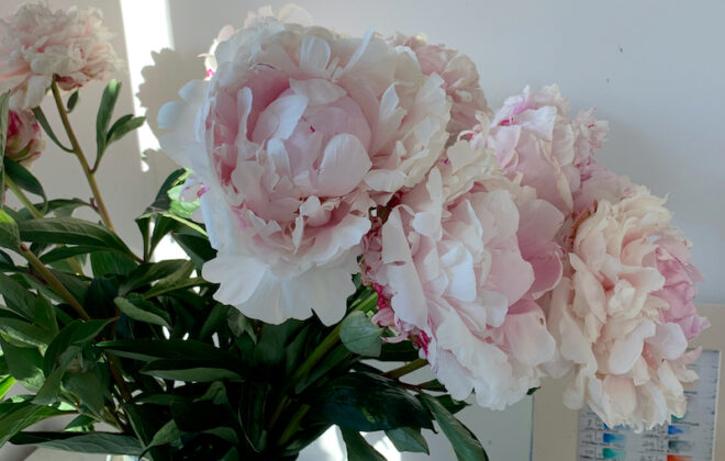 Painting Flowers for Inspiration - Peony bouquet