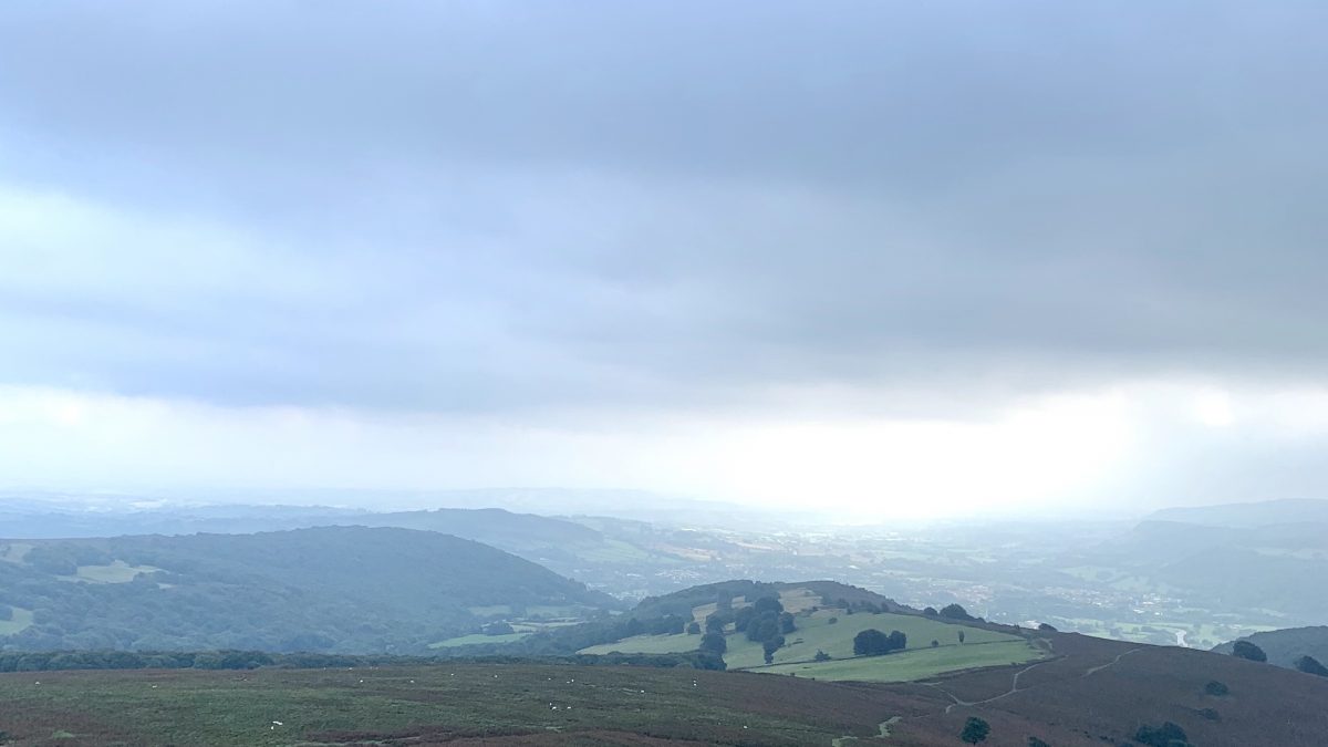 Painting outdoors - the view
