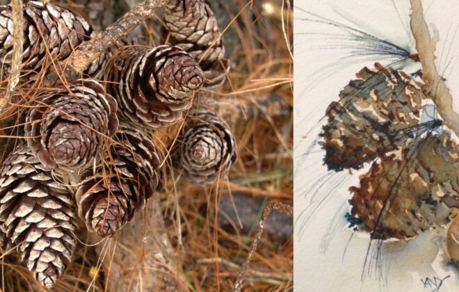 Painting elements of nature