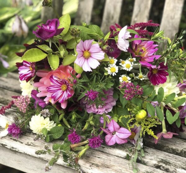 Midnight-Garden-Flower-Farm-3-@themidnightgarden-•-Instagram-photos-and-videos