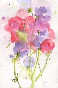 Summer Sweetpeas - a watercolour painting