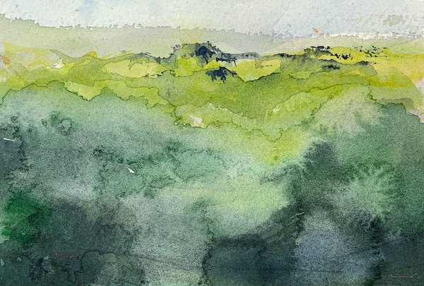 Reforest - a small watercolour painting by Vandy Massey