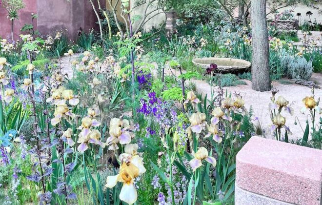 A garden in soft harmonious colours. Lessons from Chelsea Flower Show