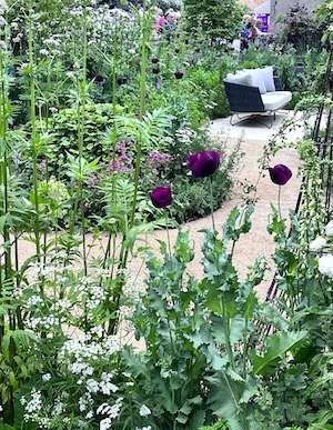Good composition gently leads the eye. A pathway to a seat in a garden at Chelsea Flower Show