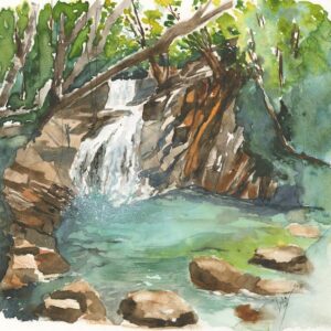 Josephine Falls. A fine art print from an original watercolour by Vandy Massey. Water rushes down stepped drops of rock. Trees overhang.