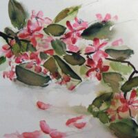 Greetings card. Prunus blossom.